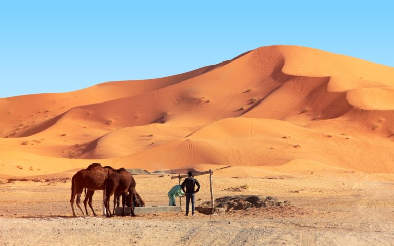 Les Peuls, nomades d’Afrique