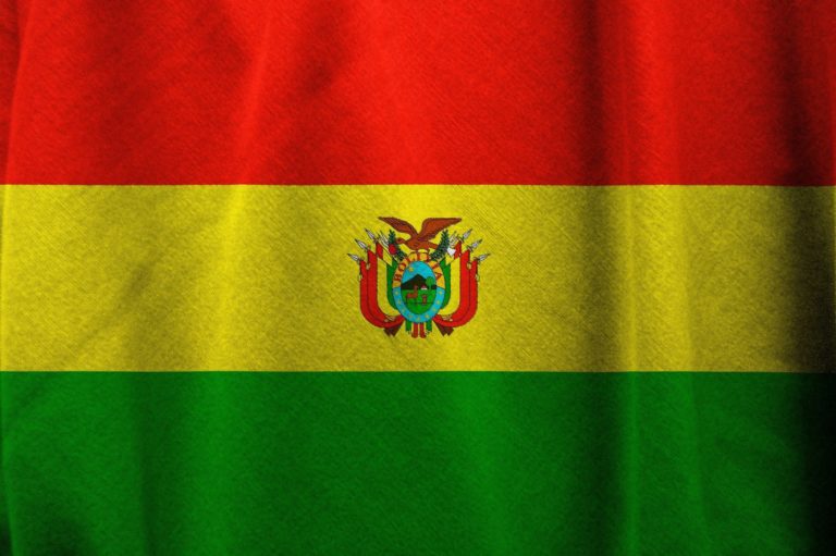 Qui est Luis Arce, le nouveau président de la Bolivie ?
