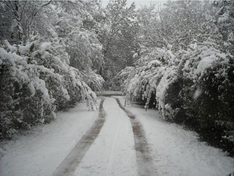 S’exposer au froid, trouver le confort dans l’inconfort