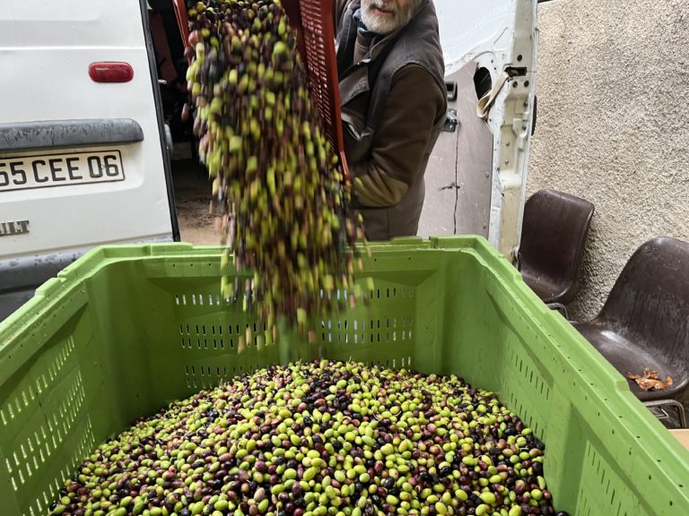 Des noyaux d’olives chauffent le Broc