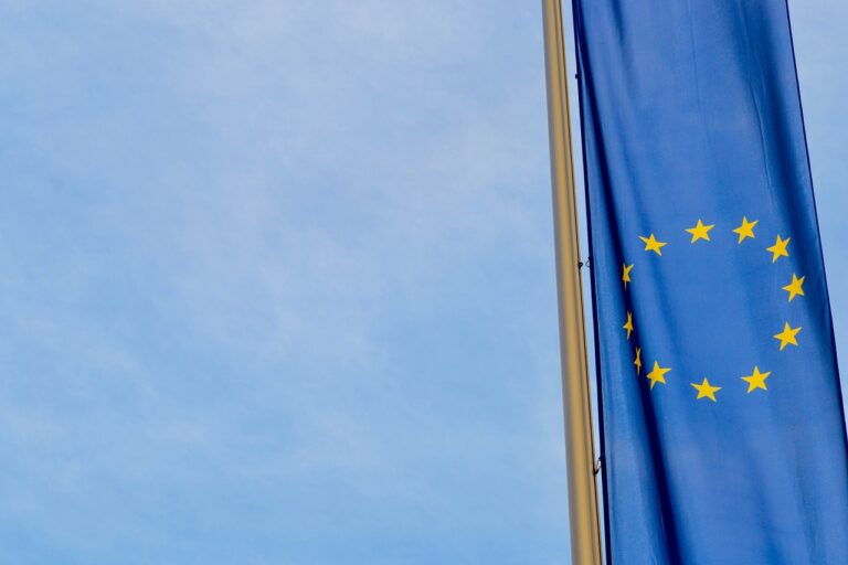 Selon les sondages, la liste Renaissance est talonnée par le PS pour la deuxième place aux élections européennes 2024.