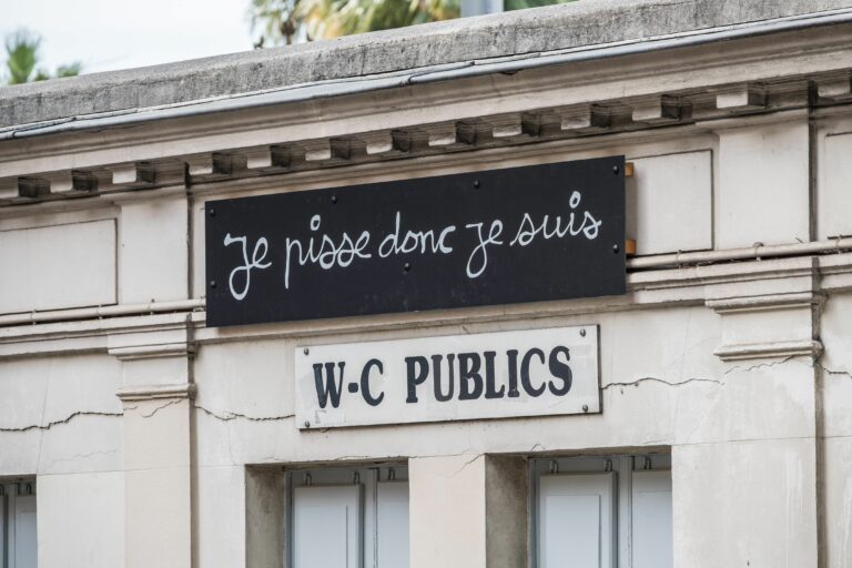 Journée mondiale des toilettes: politique de la chasse vide à Nice